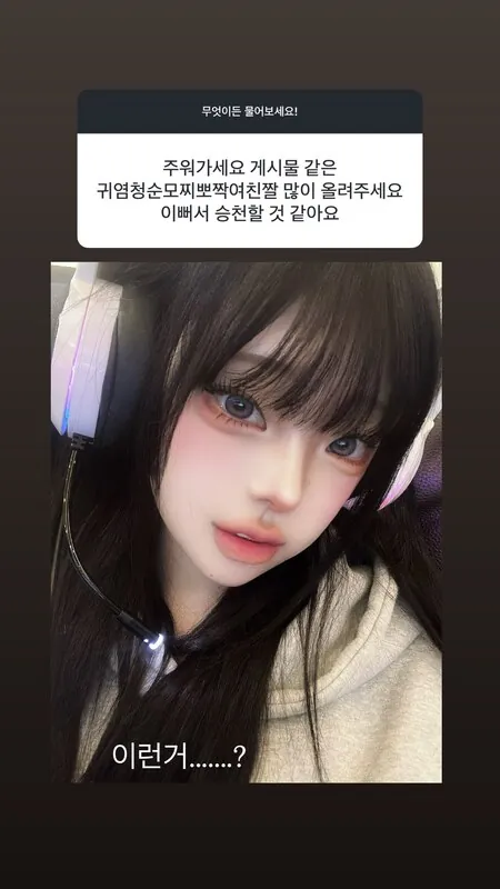 825io 라이브 캠