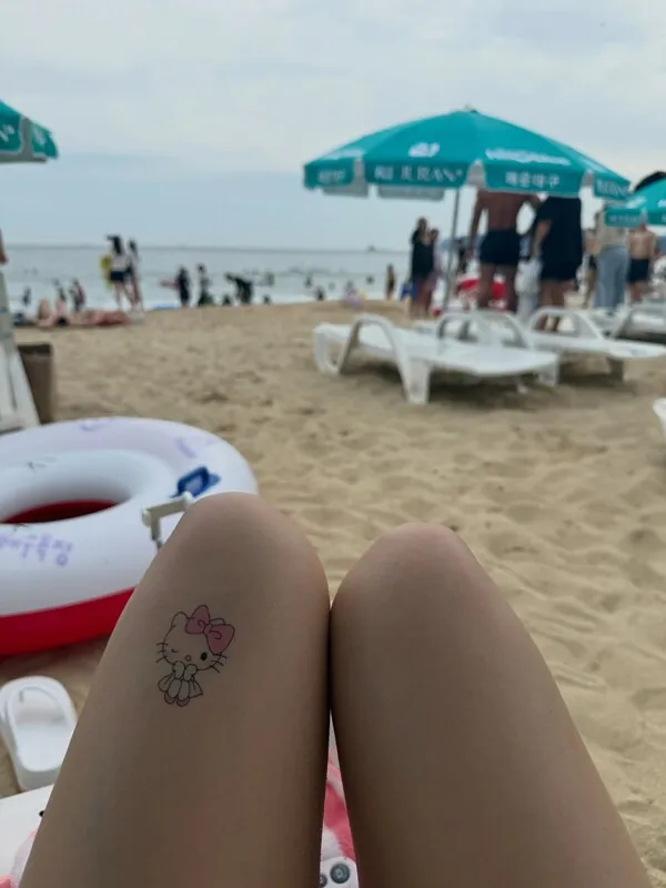 noahohc 라이브 캠