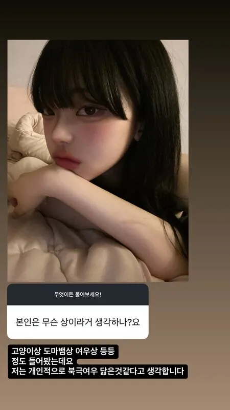 825io 라이브 캠