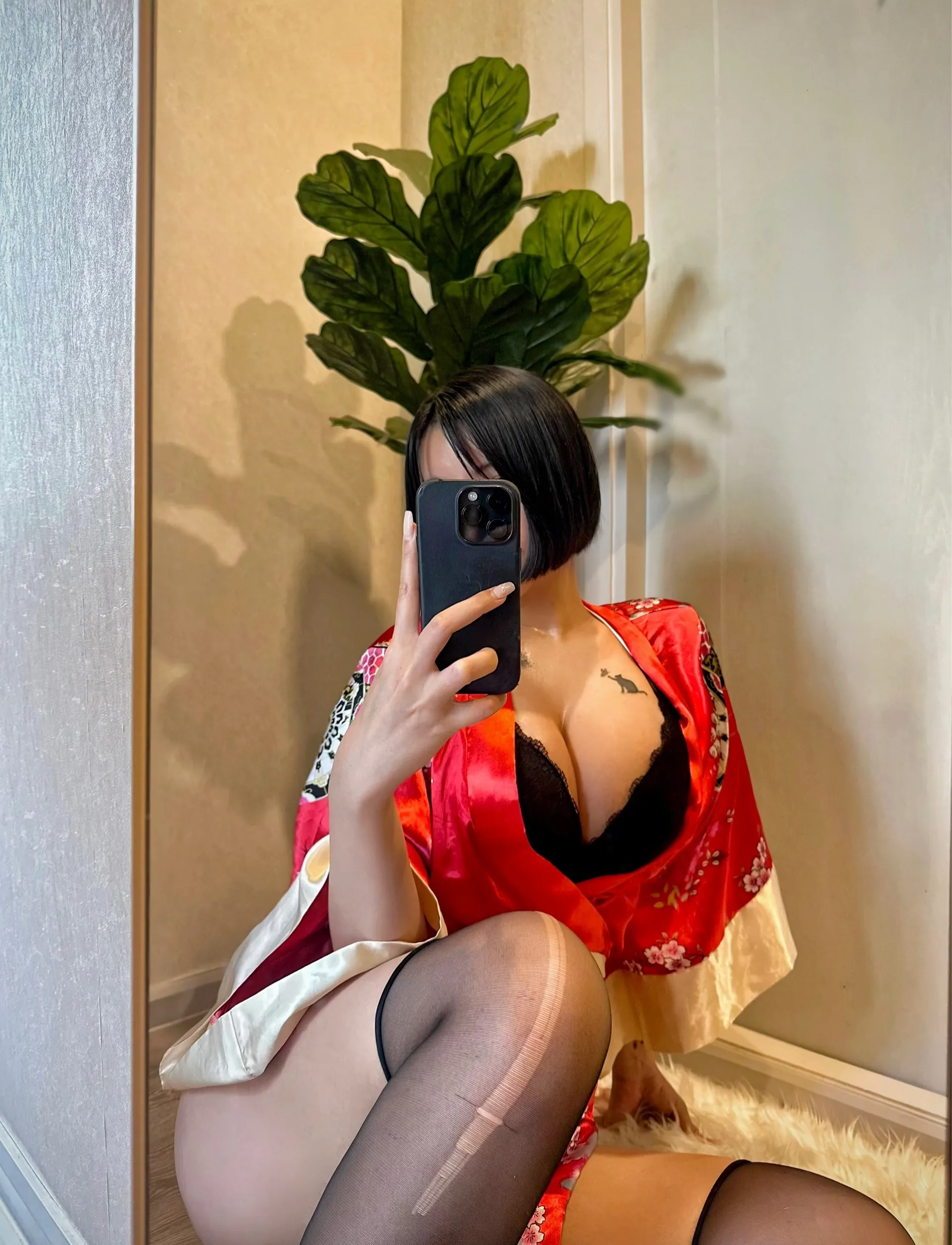 나비 (Navi) 라이브 캠