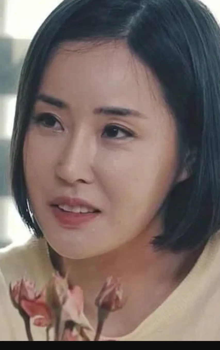 Seo Won 서원 라이브 캠