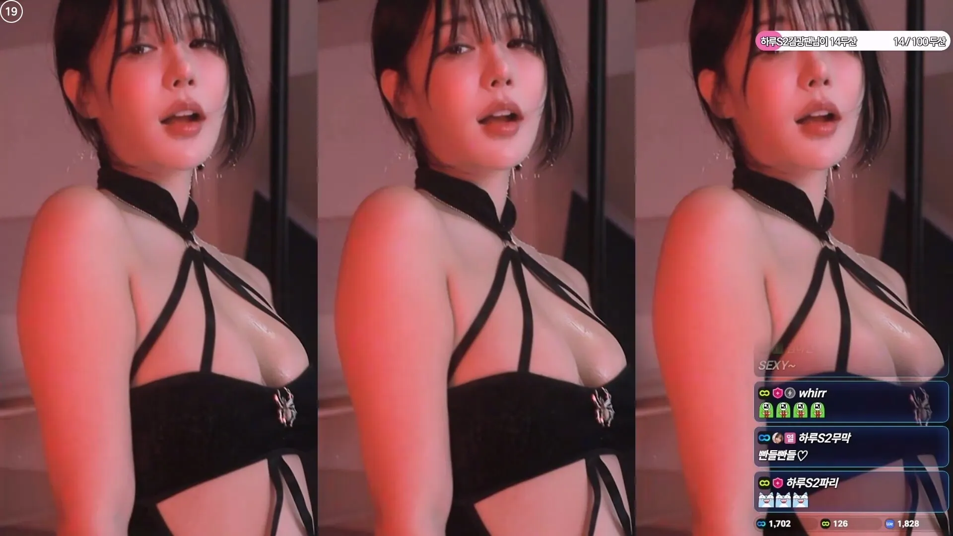 Haru S2 하루 라이브 캠