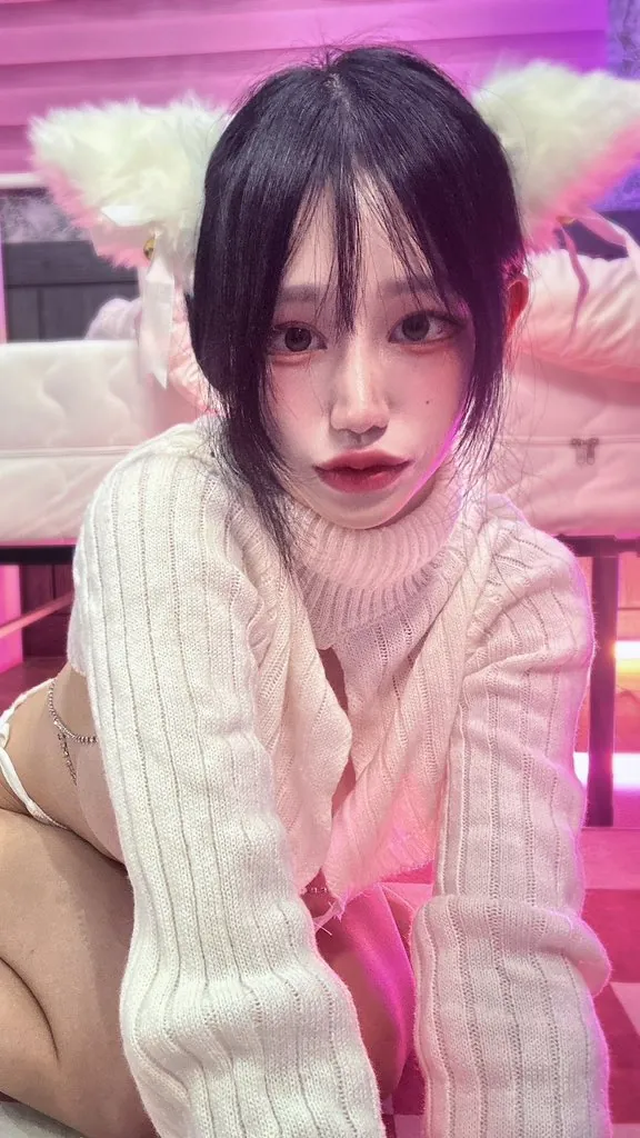 NOAH_노아 라이브 캠