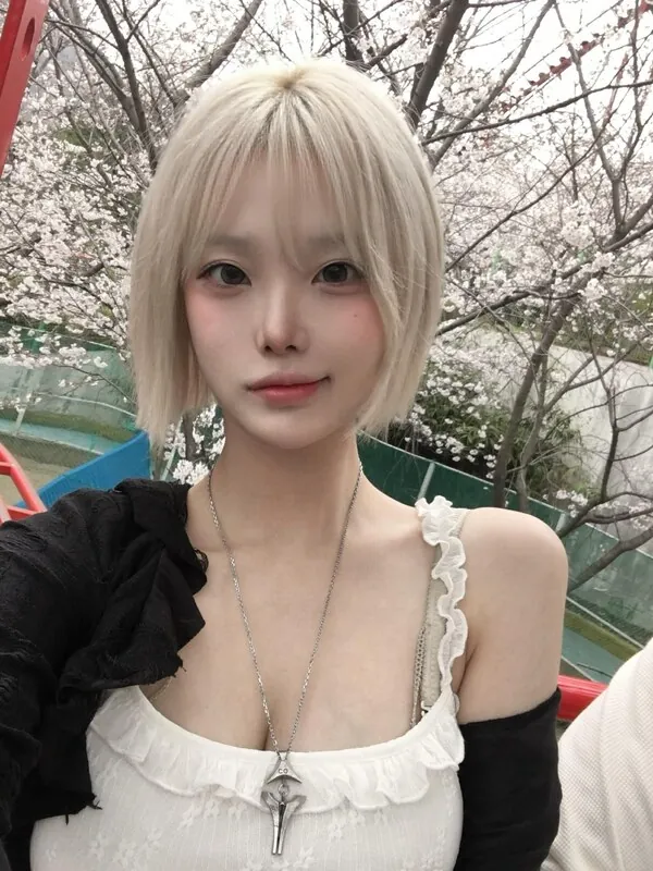 y._.sc 라이브 캠
