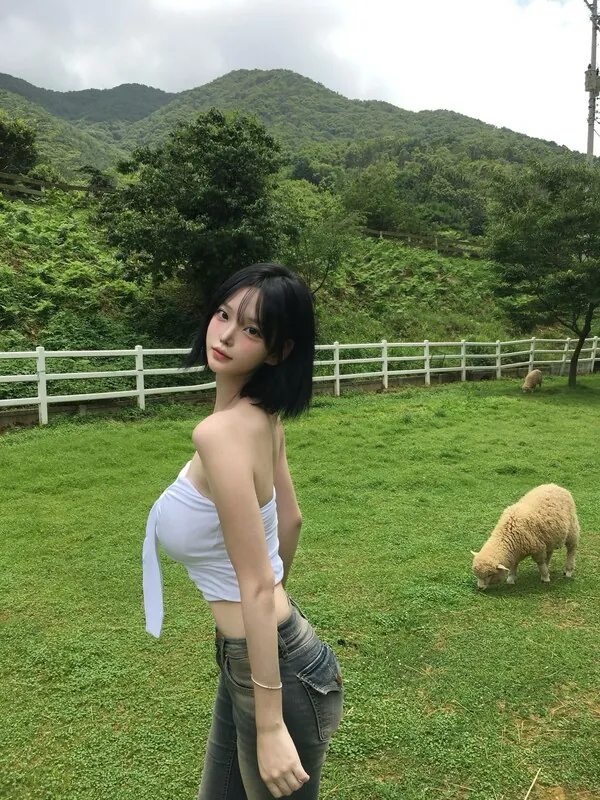 y._.sc 라이브 캠
