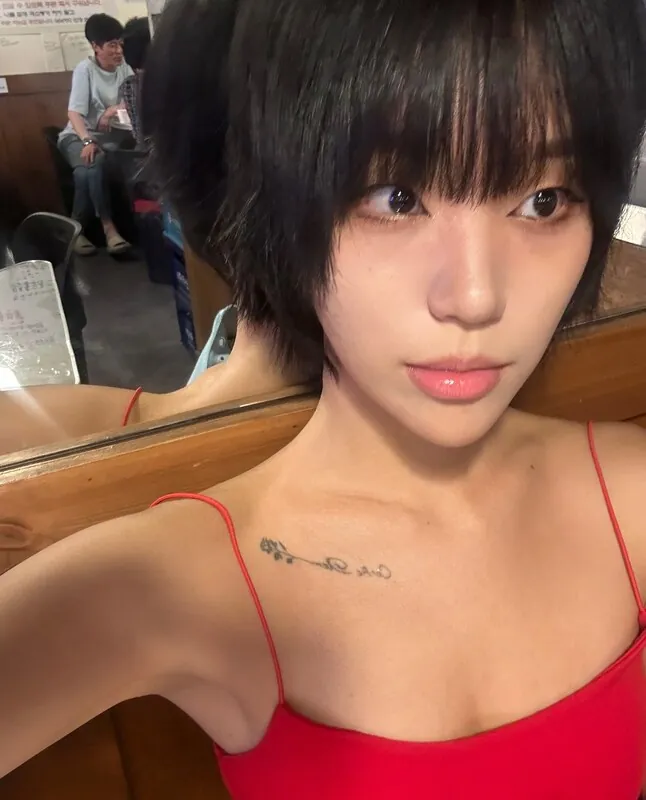Z___meme 짼 라이브 캠