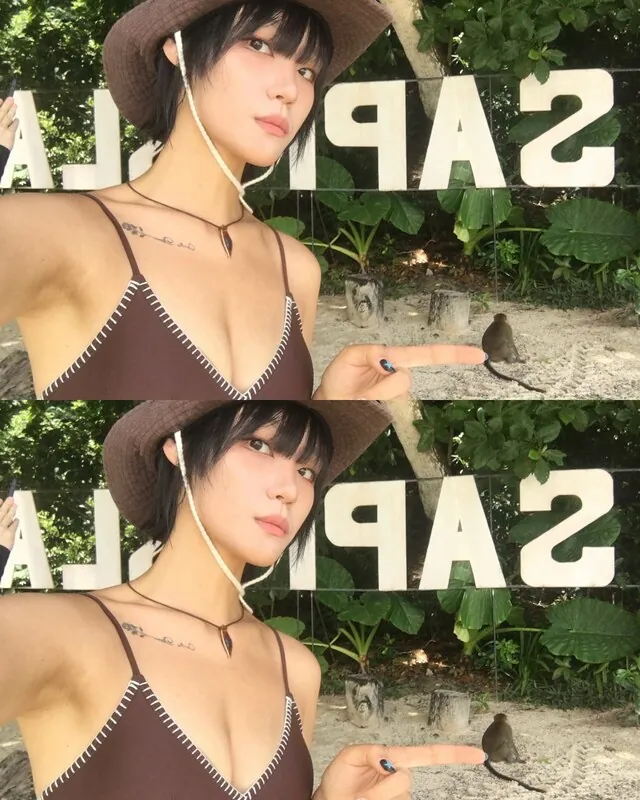 Z___meme 짼 라이브 캠